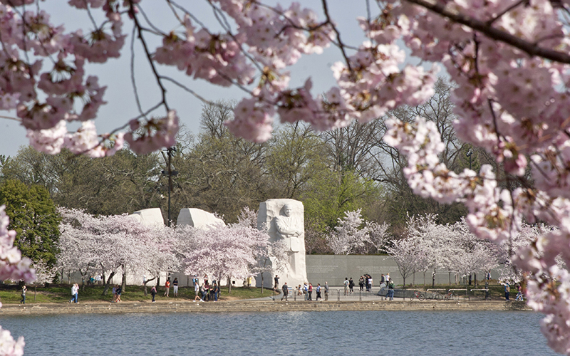 Martin Luther King Jr National Memorial